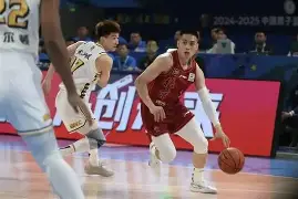 浙江广厦CBA战胜福建男篮胡金秋关键中投的简单介绍